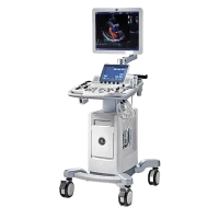 GE Echocardiography Vivid T8R4